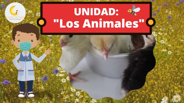 UNIDAD LOS ANIMALES